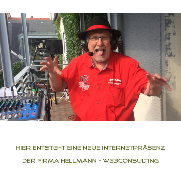 Hellmann - Webconsulting
